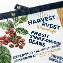 Mesh Banner - 1800x2400mm (20)
